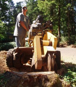 Using a stump grinder machine to remove stump below ground level.