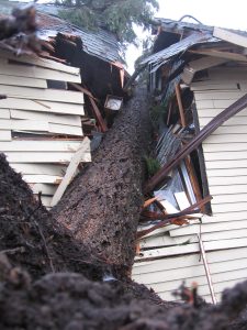 extensive home damage from fallen tree